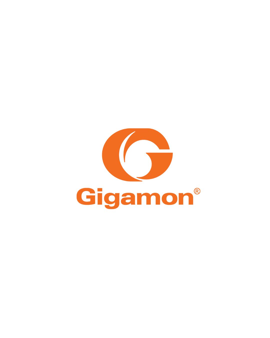 Gigamon